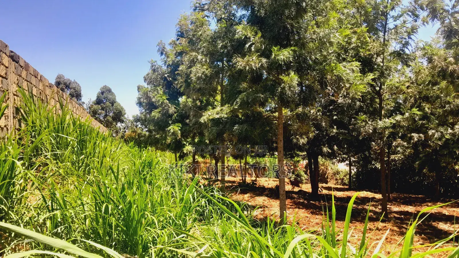 Plots for Sale in Kikuyu Thamanda Waiyaki Way in Muguga