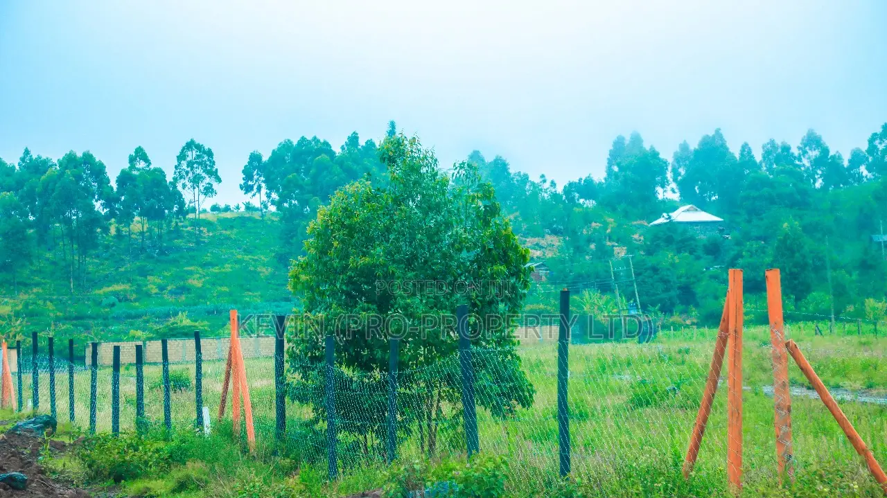 Prime Residential Plots For Sale In Kikuyu, Nachu in Kikuyu