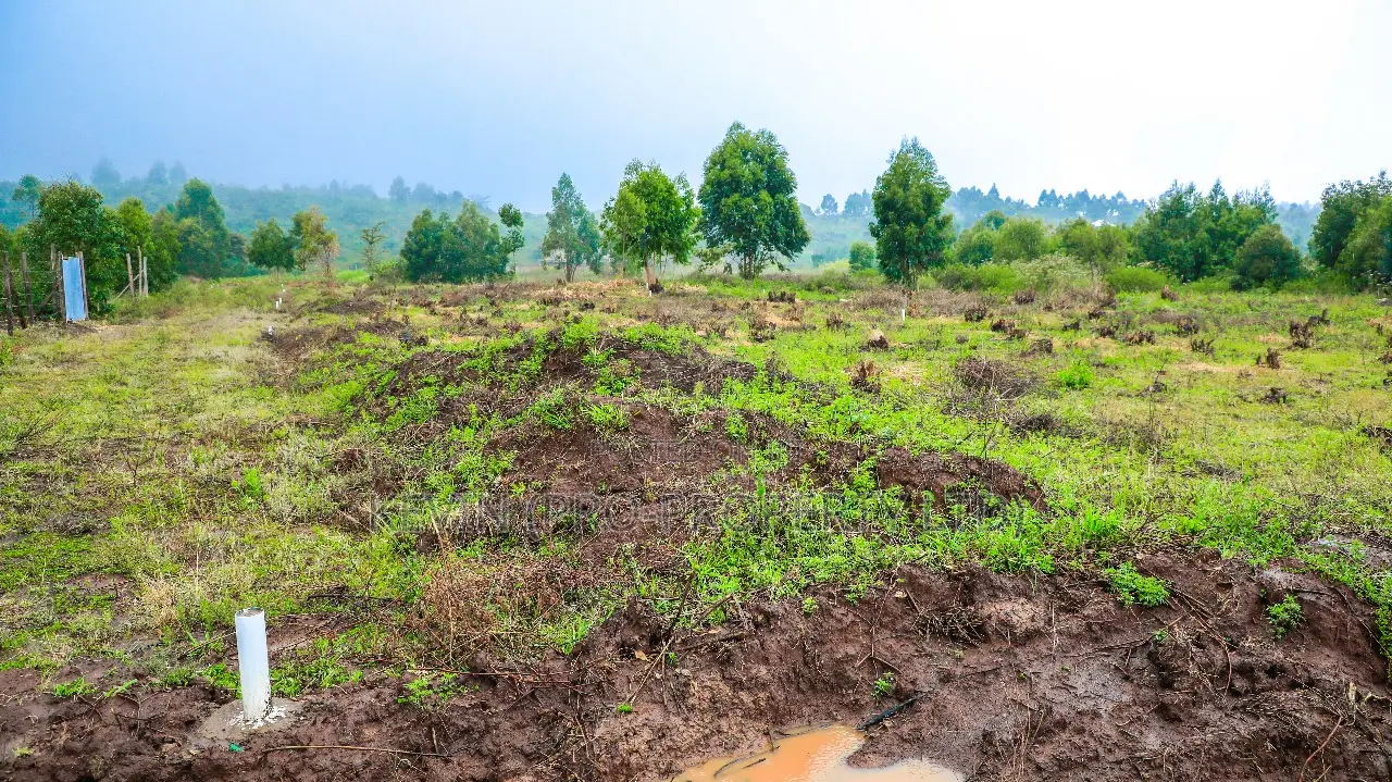 Prime Residential Plots For Sale In Kikuyu, Nachu in Kikuyu