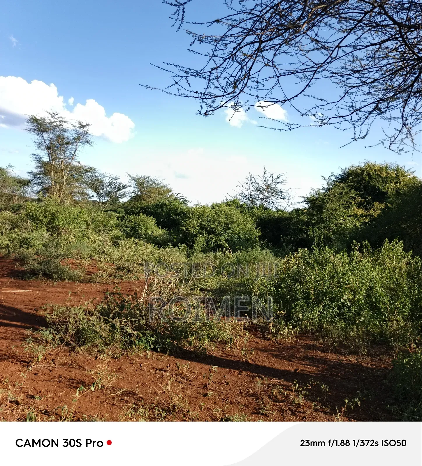 13 Ekali Entarara Kwa 500,000 Kila Eka in Rombo