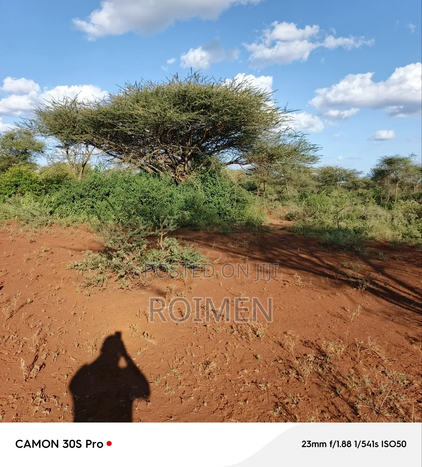 13 Ekali Entarara Kwa 500,000 Kila Eka in Rombo