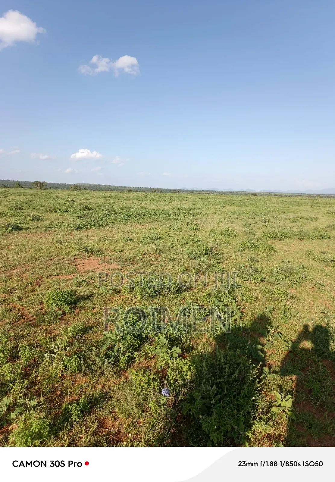 31 Ekali Katika Eneo La Imbirikani in Mbirikani