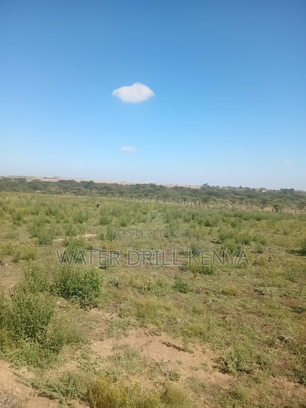 Lands for Sale Laikipia Kenya in Segera