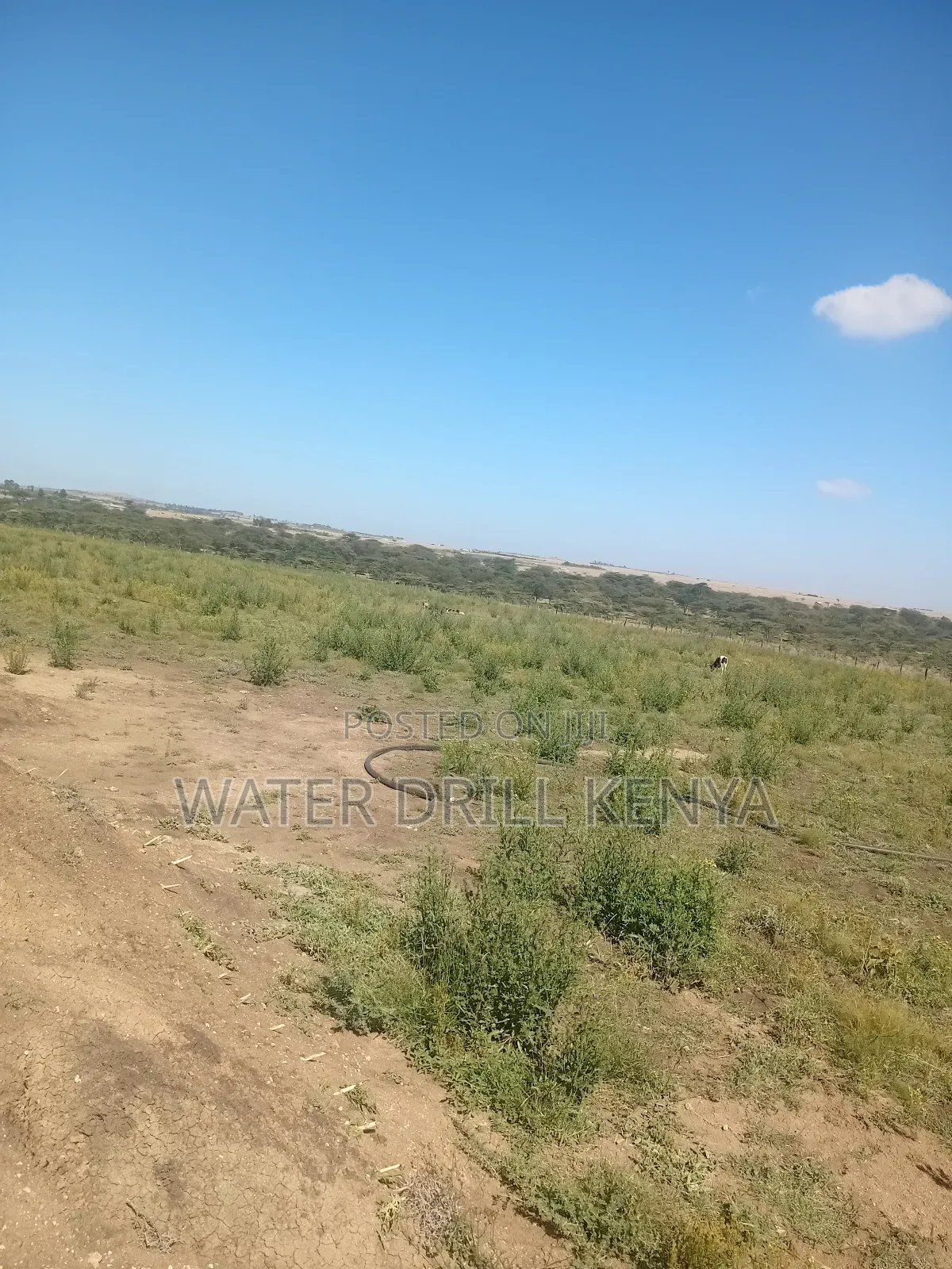 Lands for Sale Laikipia Kenya in Segera