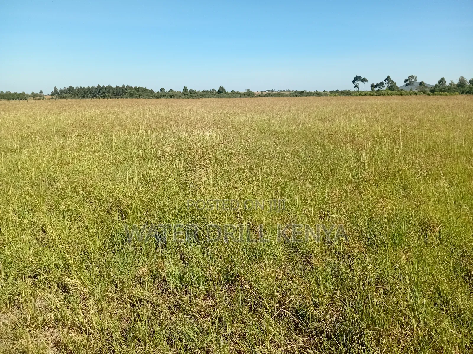 Lands for Sale Laikipia Kenya in Segera