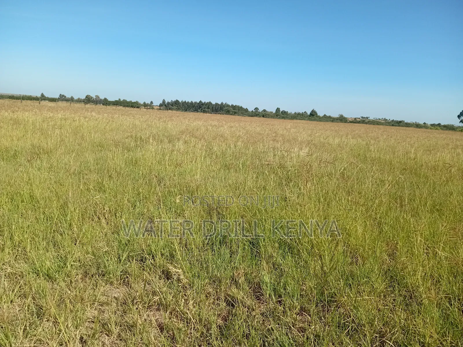 Lands for Sale Laikipia Kenya in Segera