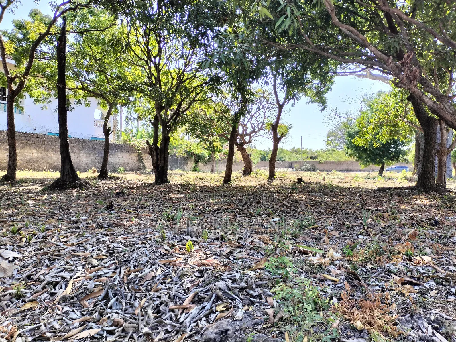 Prime Residential Half Acre Land in Ukunda