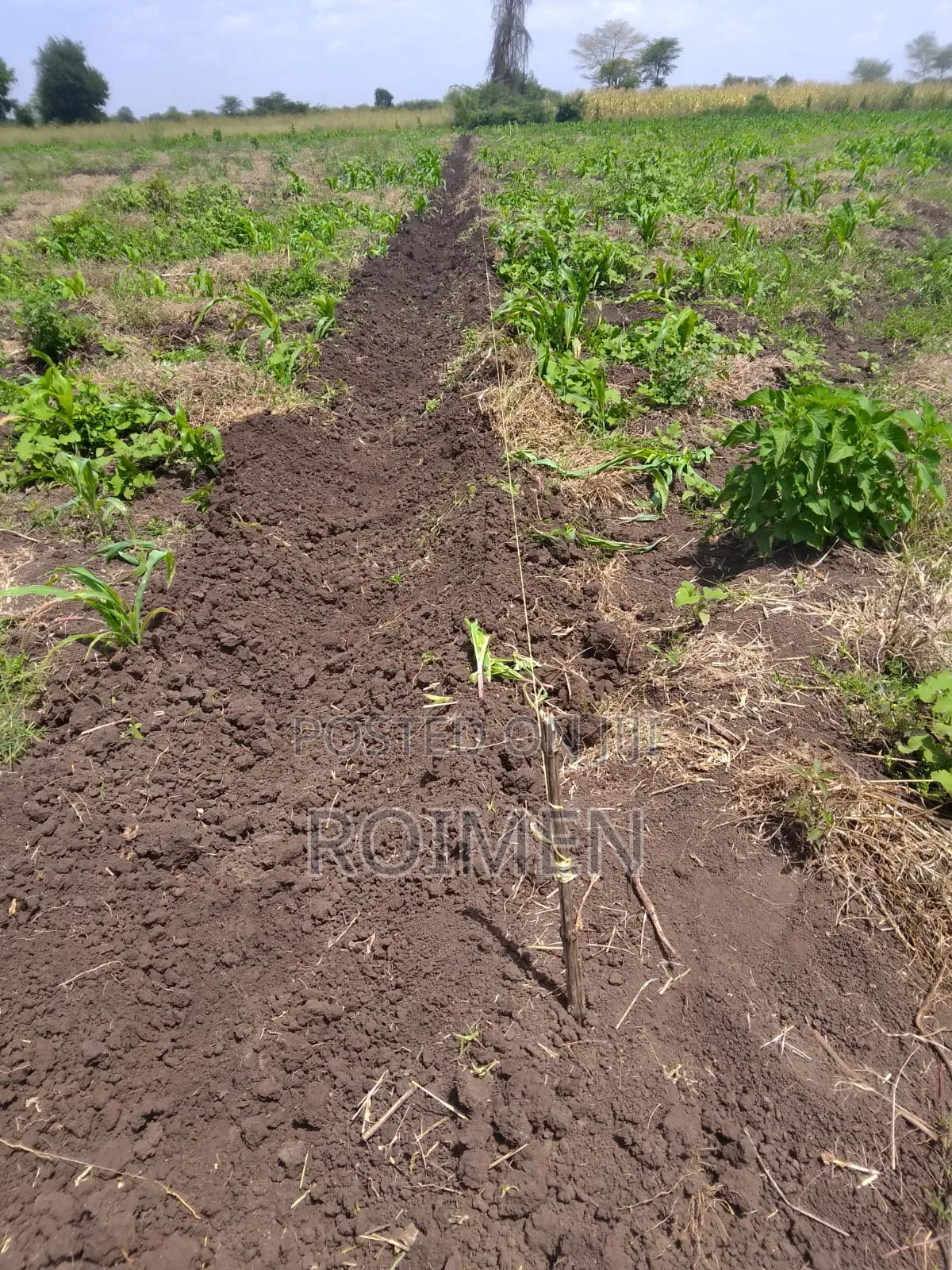 2 Acres With a Borehole. in Mbirikani