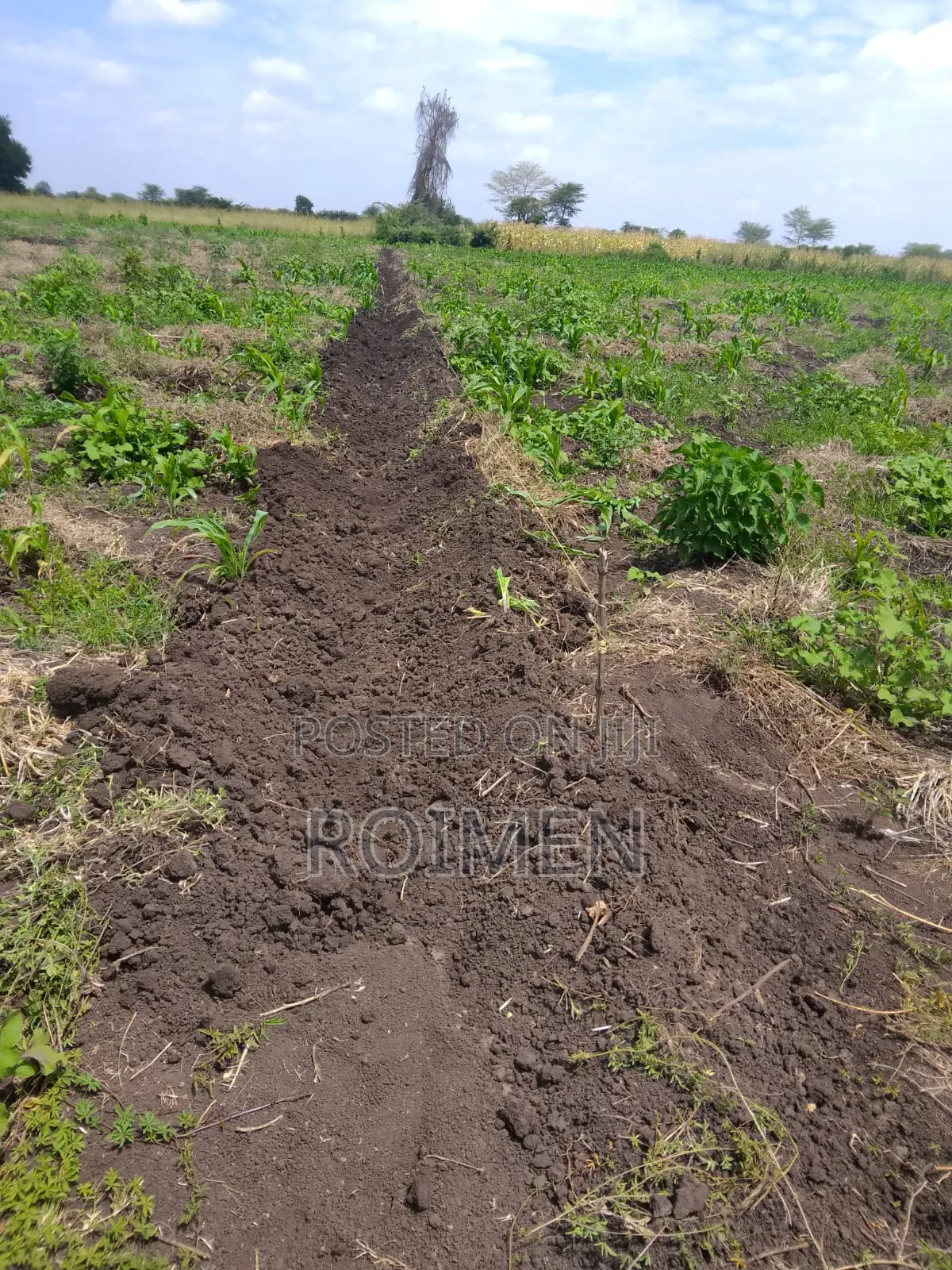 2 Acres With a Borehole. in Mbirikani