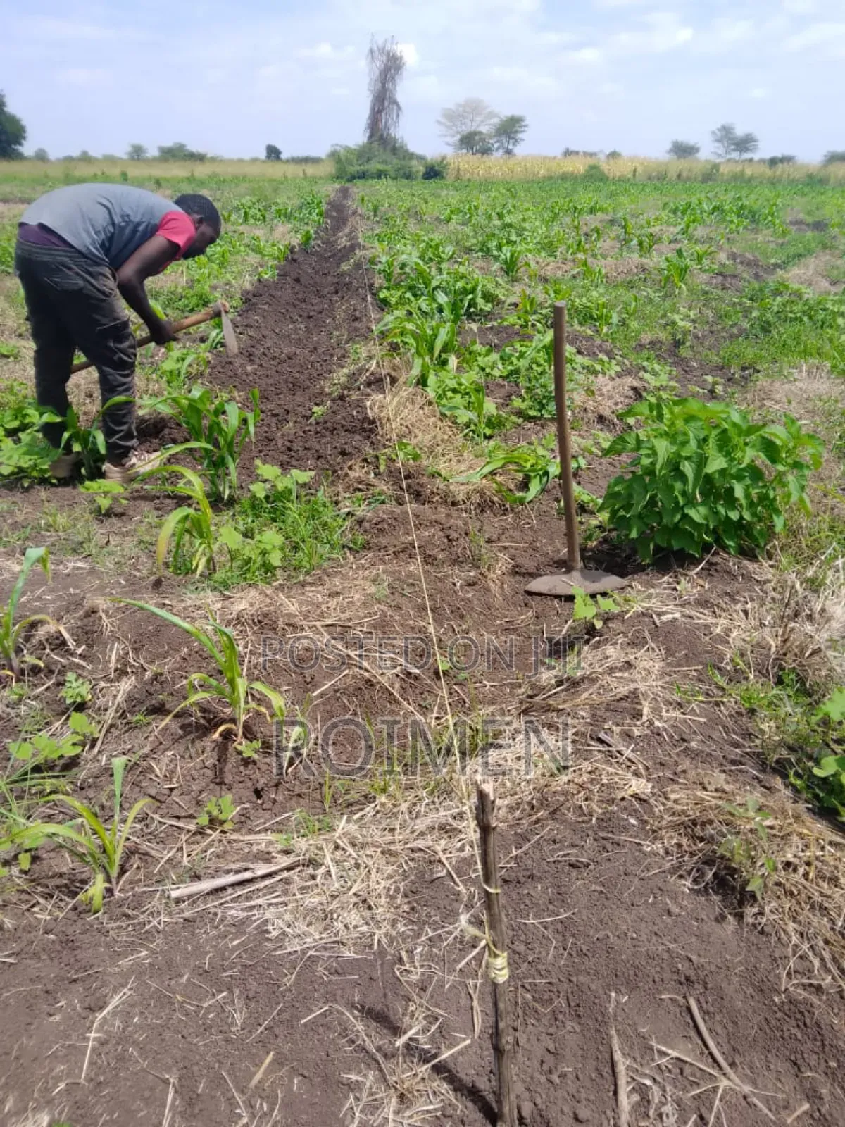2 Acres With a Borehole. in Mbirikani