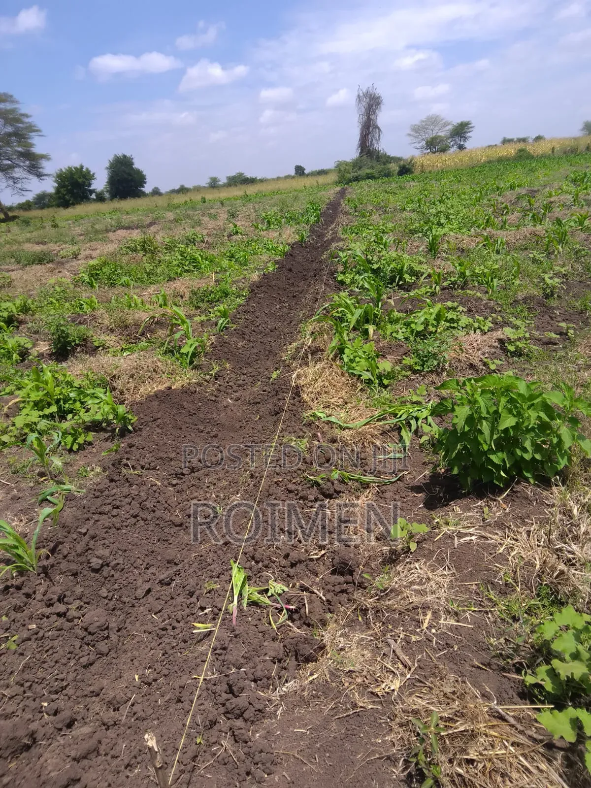 2 Acres With a Borehole. in Mbirikani
