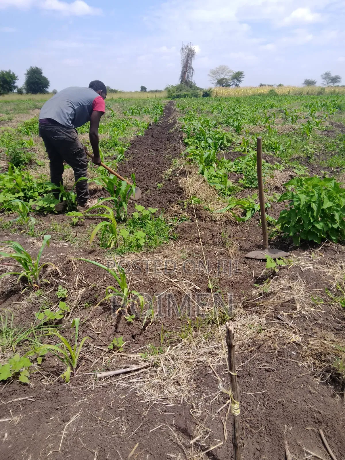 2 Acres With a Borehole. in Mbirikani