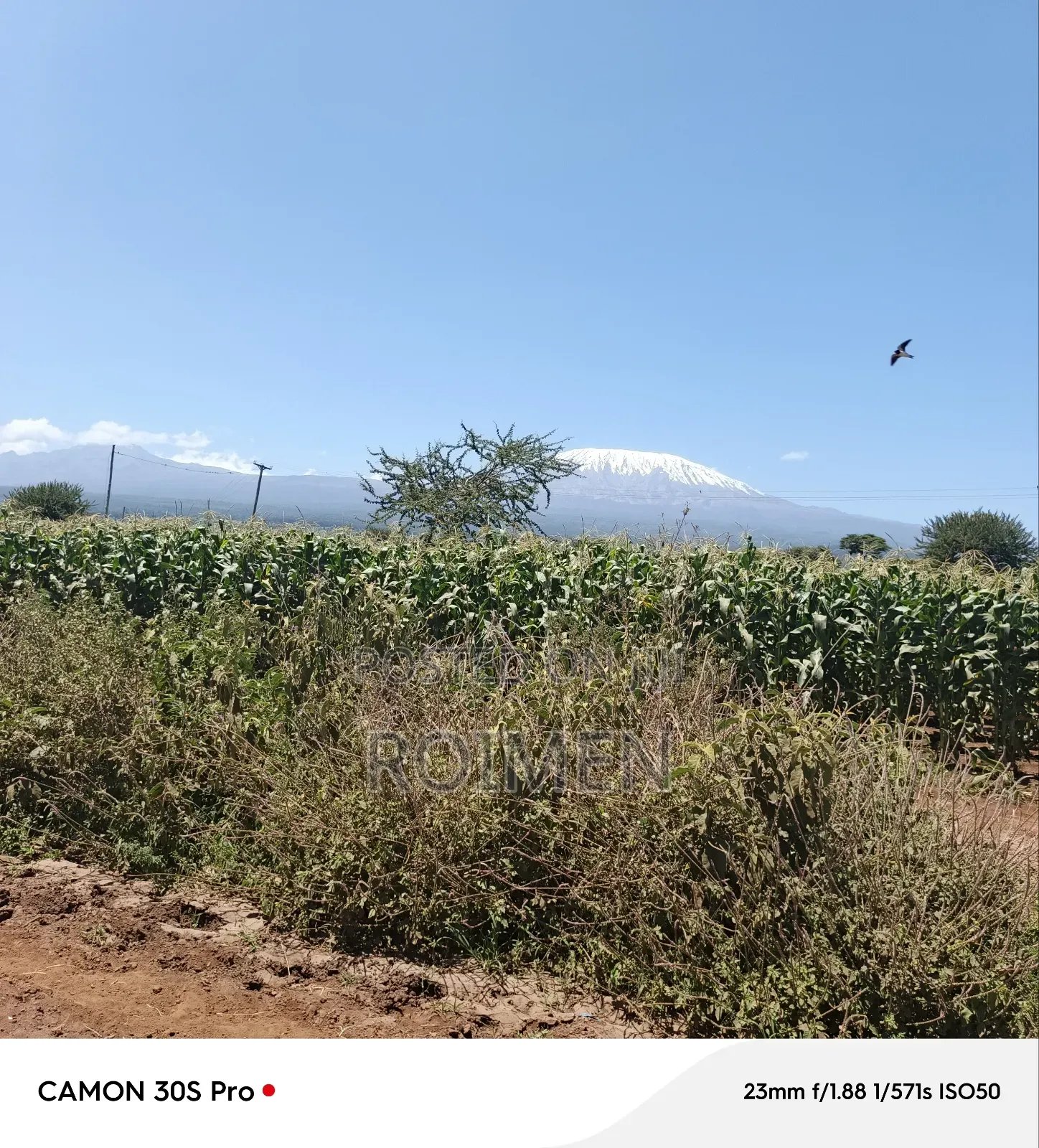 8 Ekali Katika Mpaka Wa Kenya Na Tanzania in Loitoktok