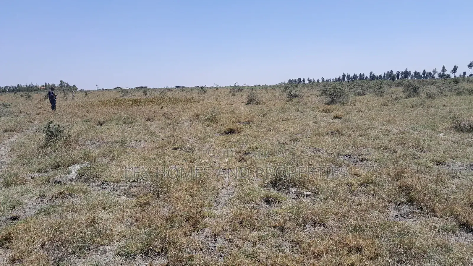 Five Acres Of Land For Sale At Sholinke in Ongata Rongai