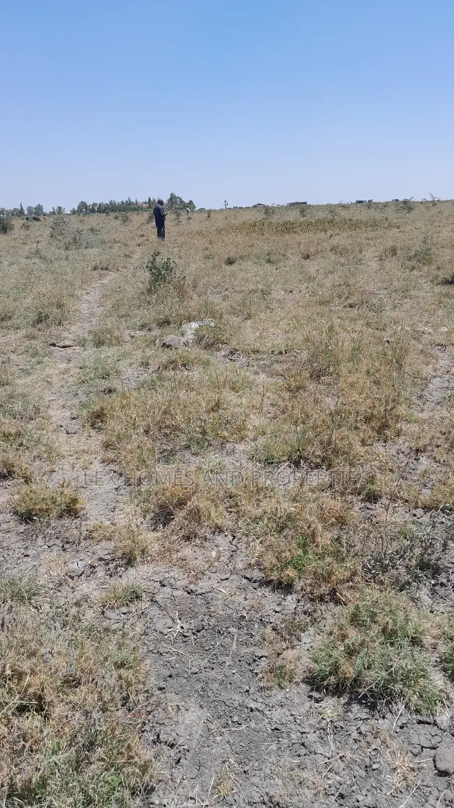 Five Acres Of Land For Sale At Sholinke in Ongata Rongai