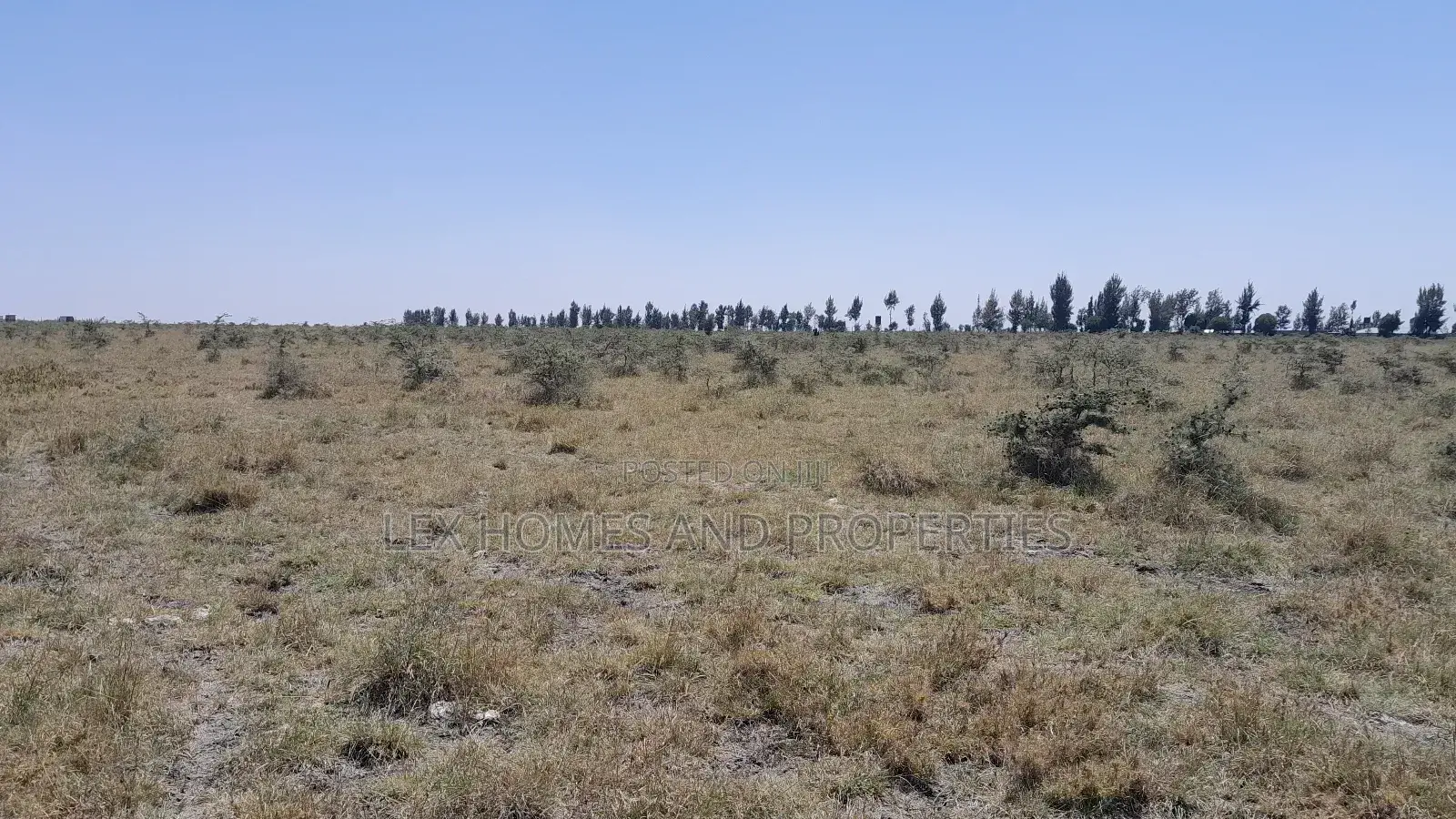 Five Acres Of Land For Sale At Sholinke in Ongata Rongai