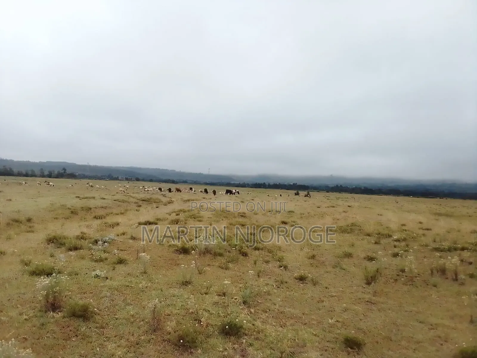 10 Acres Longonot Touching Tarmac in Naivasha East