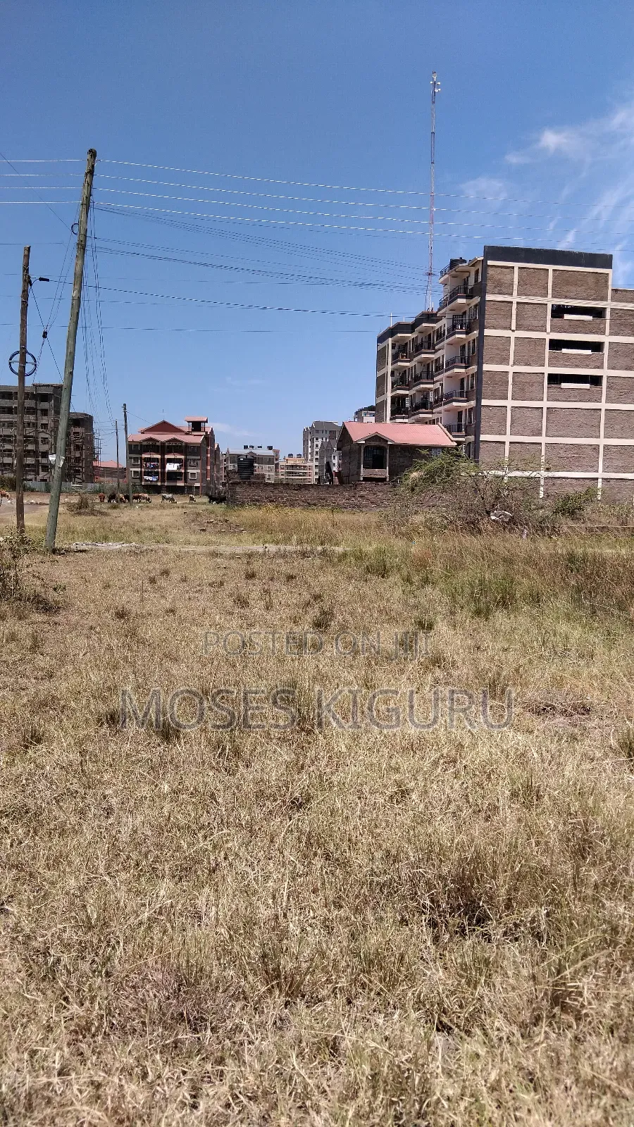 Juja 40X80 Commercial Plots. in Juja