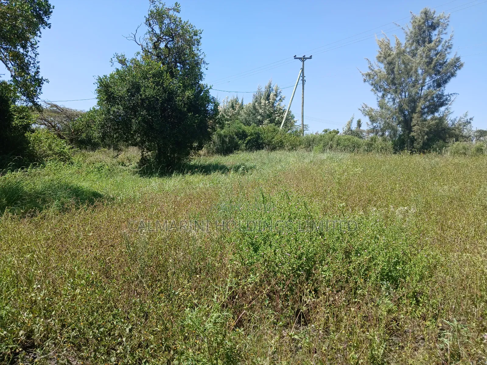 Prime Full Eighth Acre 800m Off Tarmac in Kiserian in Kiserian