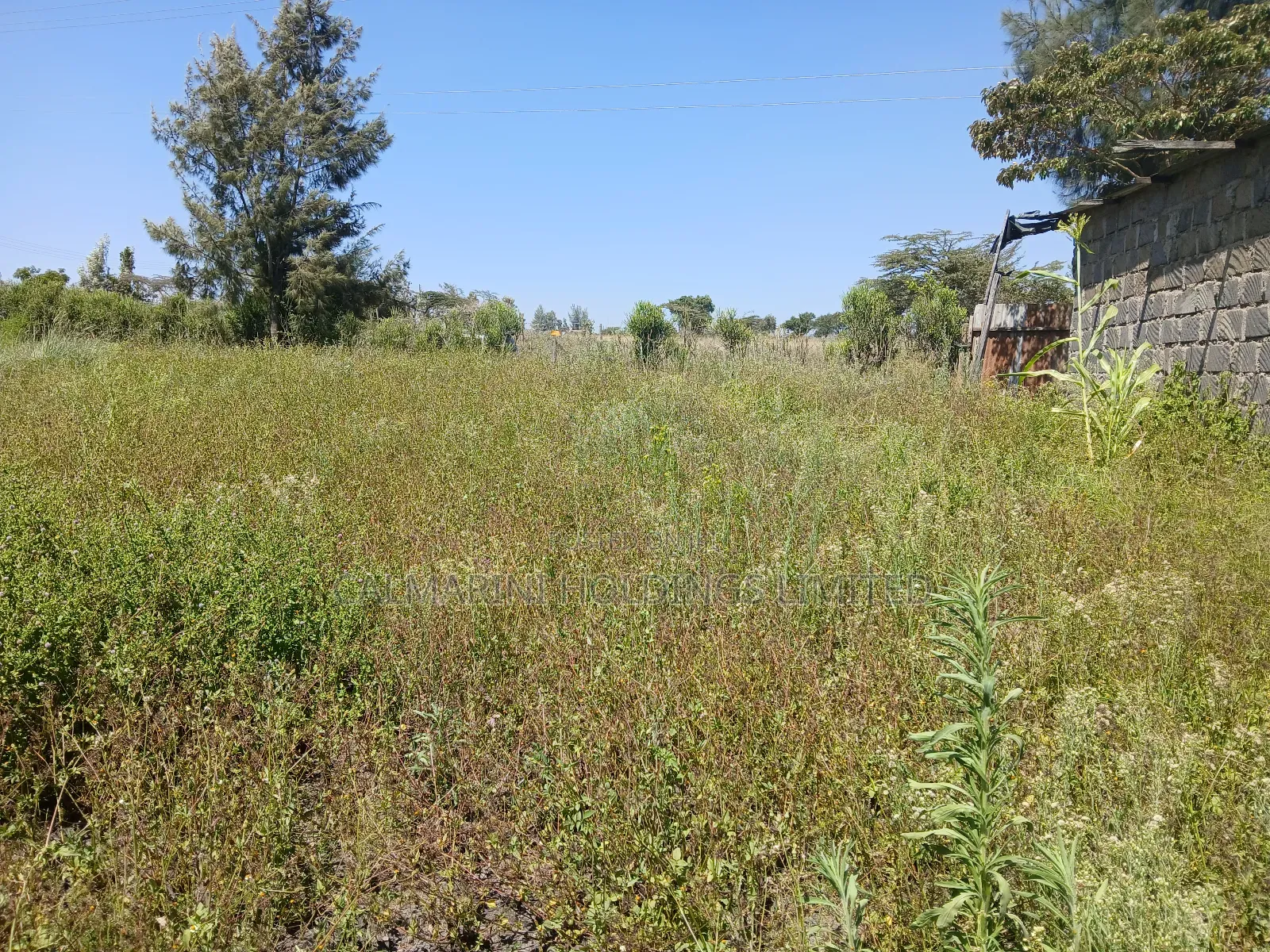 Prime Full Eighth Acre 800m Off Tarmac in Kiserian in Kiserian