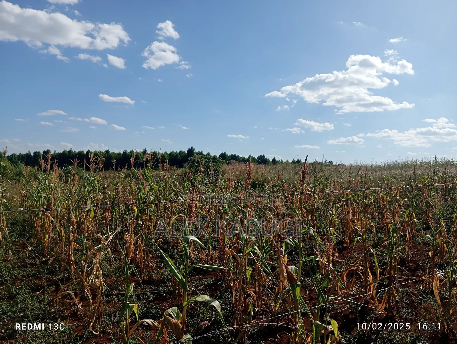 5 Acres Land for Sale Maragua Pioneer in Nginda