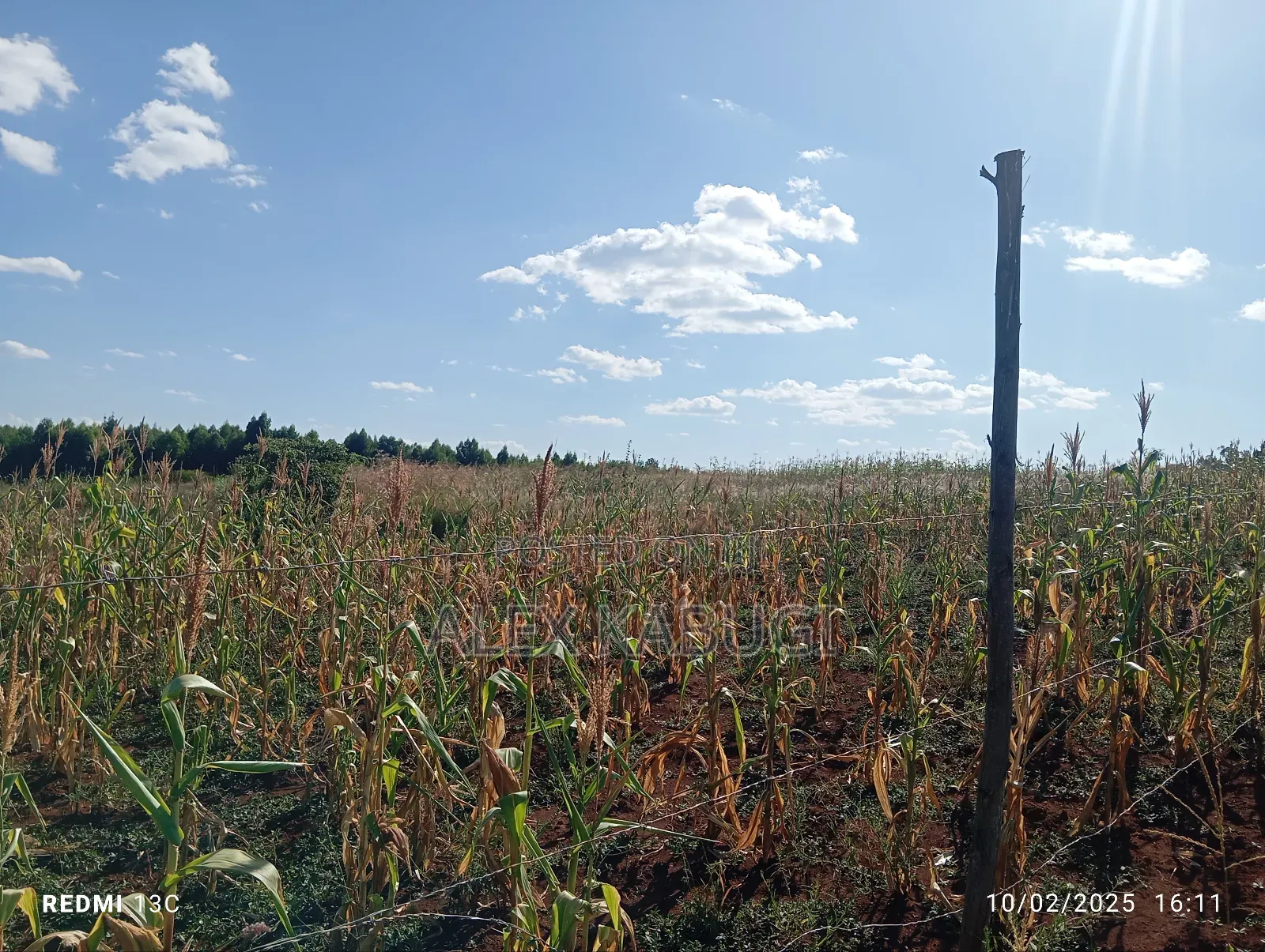 5 Acres Land for Sale Maragua Pioneer in Nginda