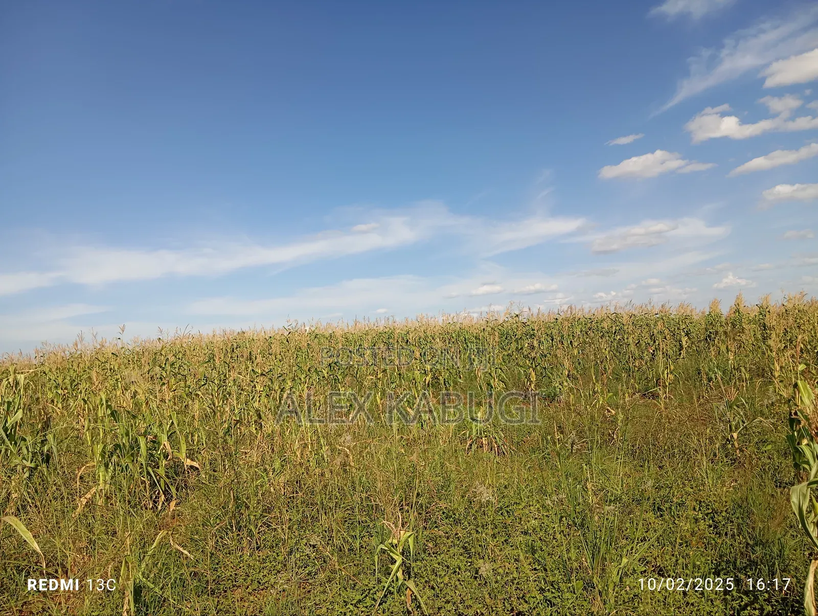 5 Acres Land for Sale Maragua Pioneer in Nginda