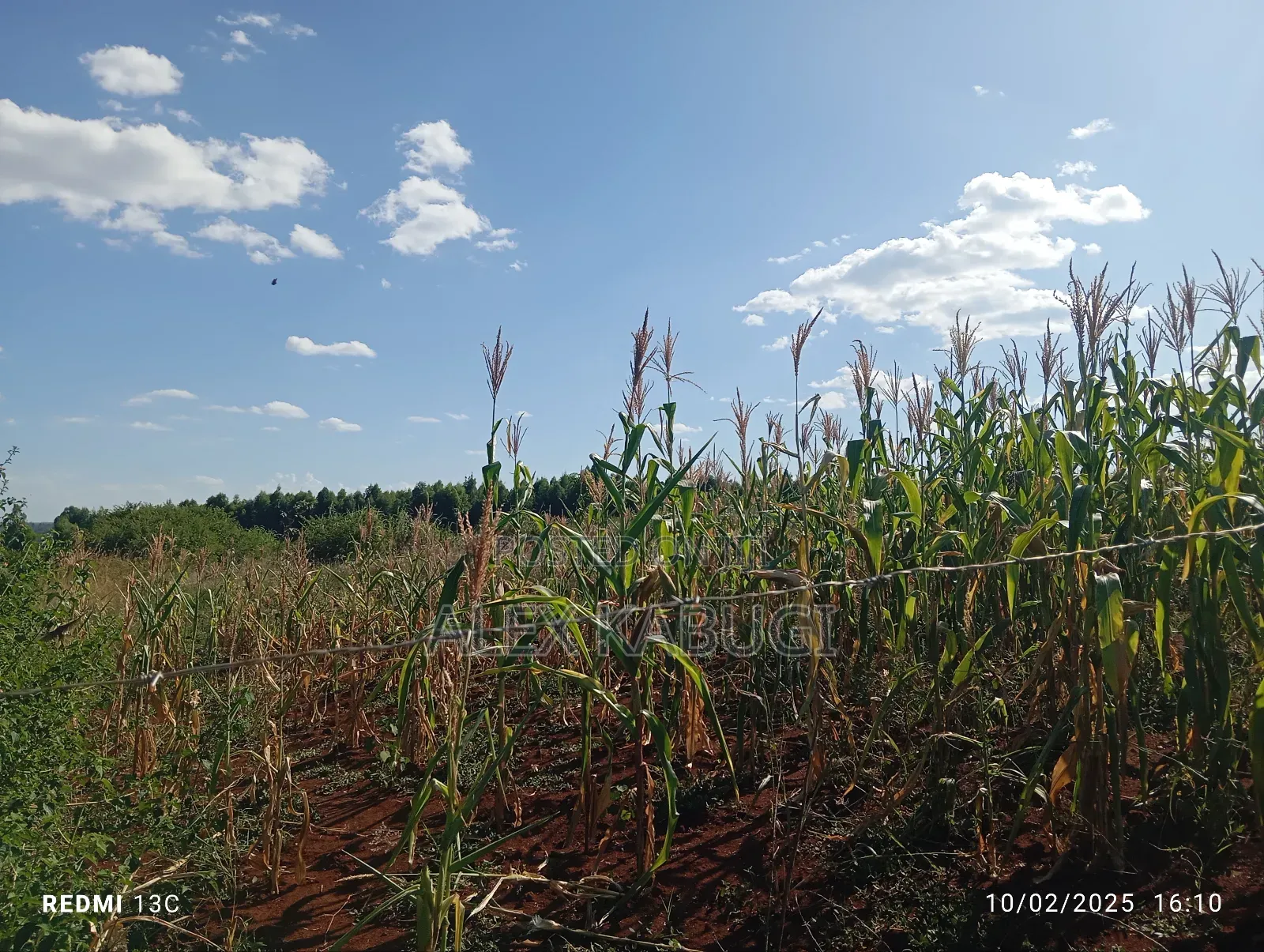 5 Acres Land for Sale Maragua Pioneer in Nginda