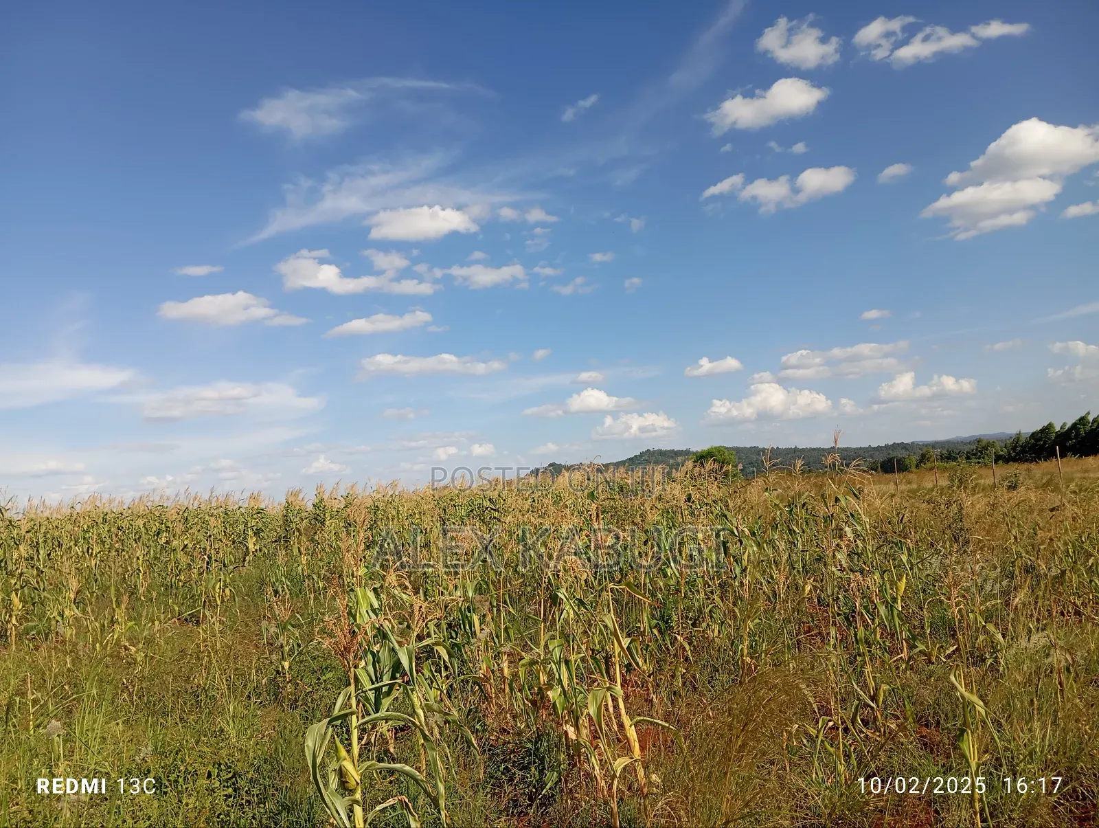 5 Acres Land for Sale Maragua Pioneer in Nginda