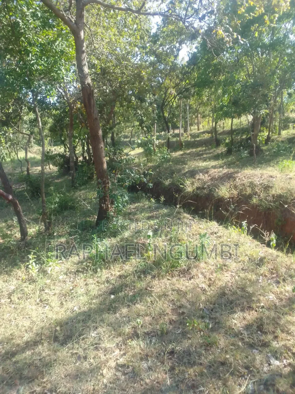 3 Prime Acres at Masii Machakos in Machakos Town