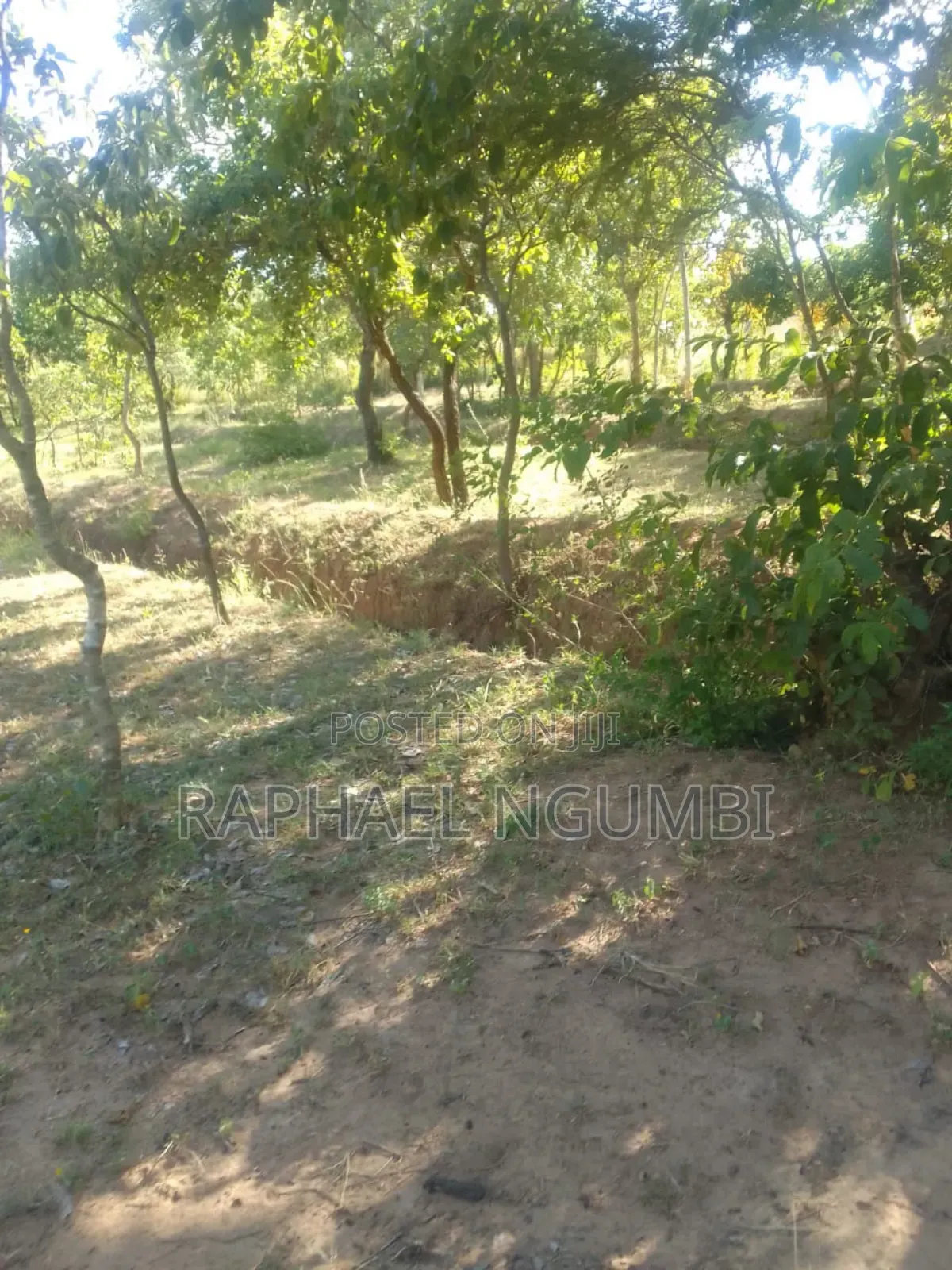 3 Prime Acres at Masii Machakos in Machakos Town