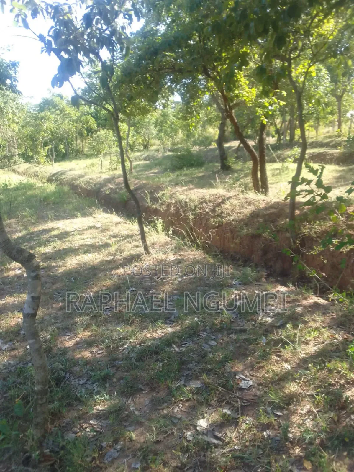 3 Prime Acres at Masii Machakos in Machakos Town