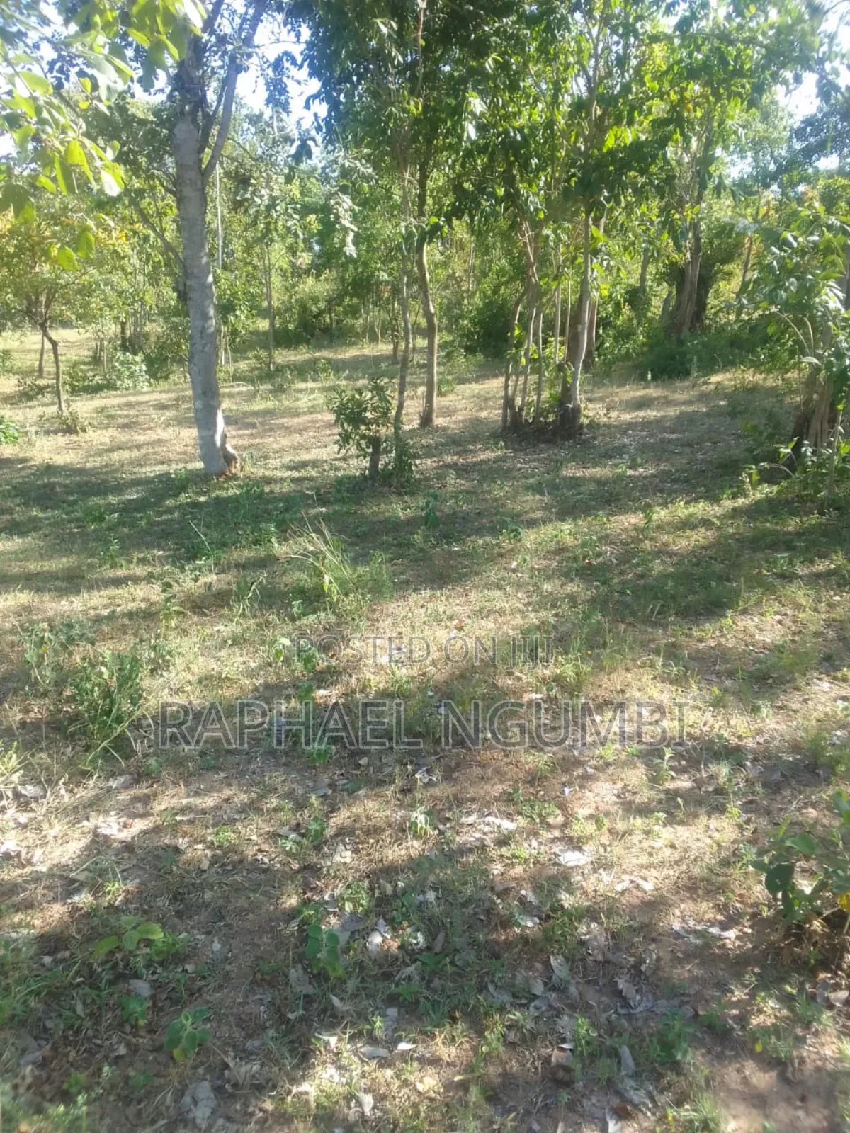 3 Prime Acres at Masii Machakos in Machakos Town