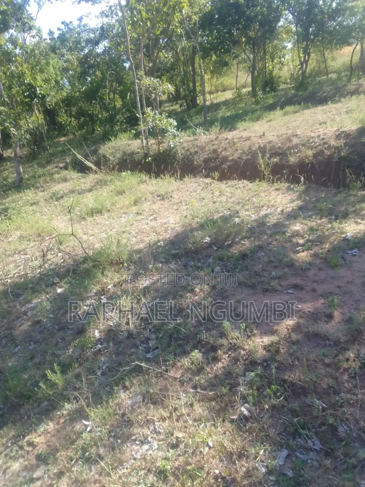 3 Prime Acres at Masii Machakos in Machakos Town