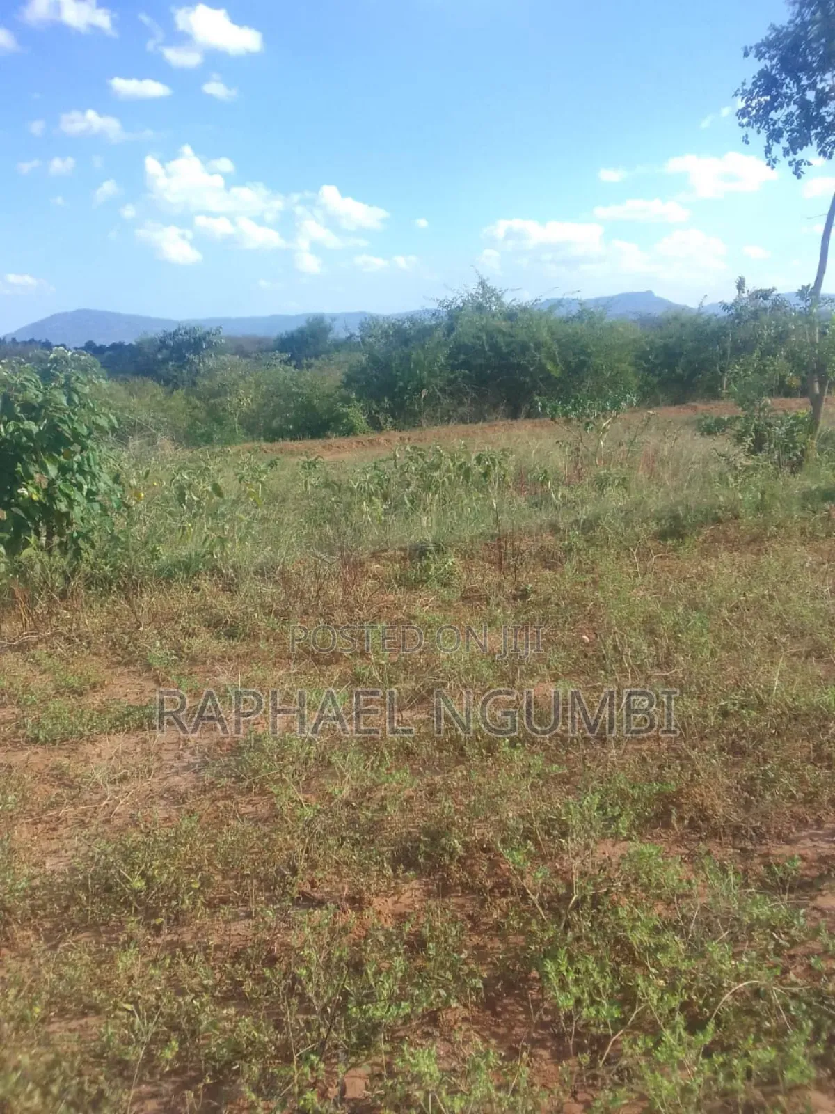 Masii Kitooni 3 Acres in Machakos Town
