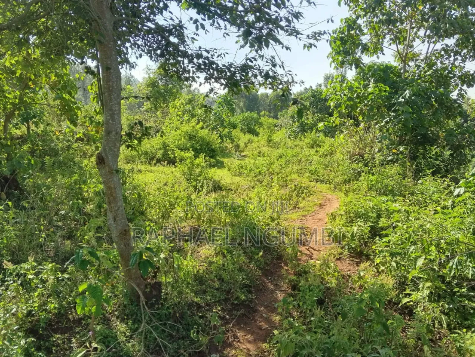 3.5 Acres at Masii Makutano Ma Mwala in Machakos Town