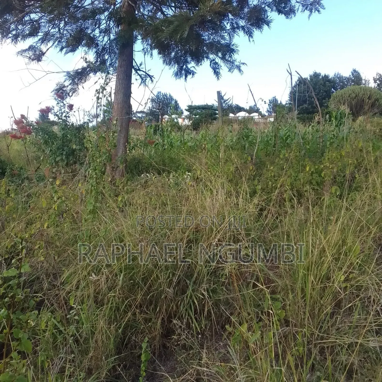 3.5 Acres at Masii Makutano Ma Mwala in Machakos Town