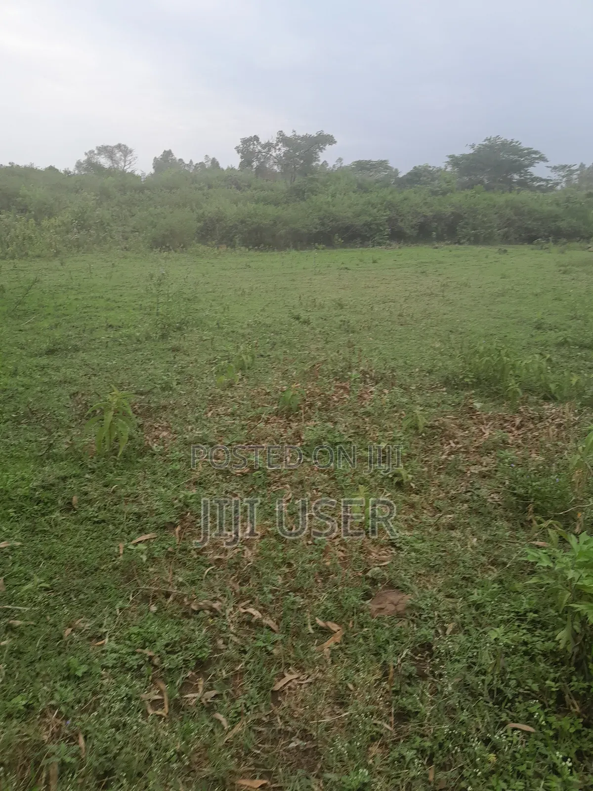 1 Acre of Land in Rambusi Area of Homa Bay in Homa Bay West