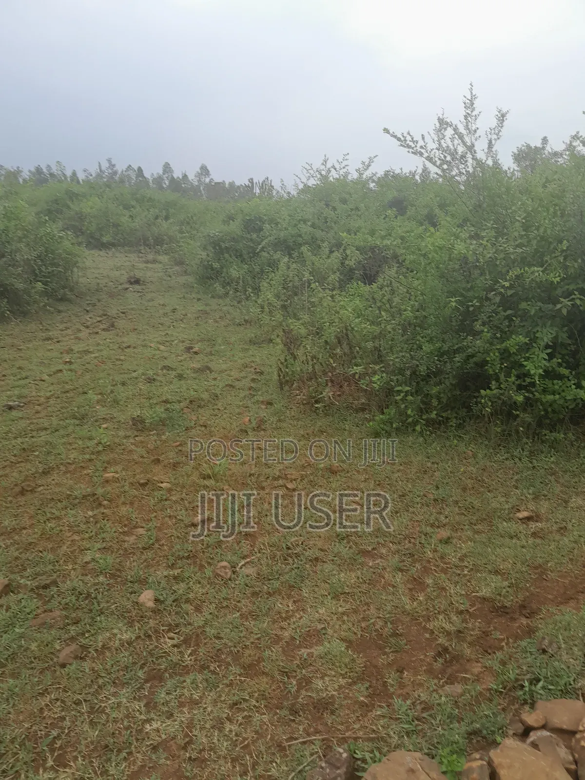 1 Acre of Land in Rambusi Area of Homa Bay in Homa Bay West