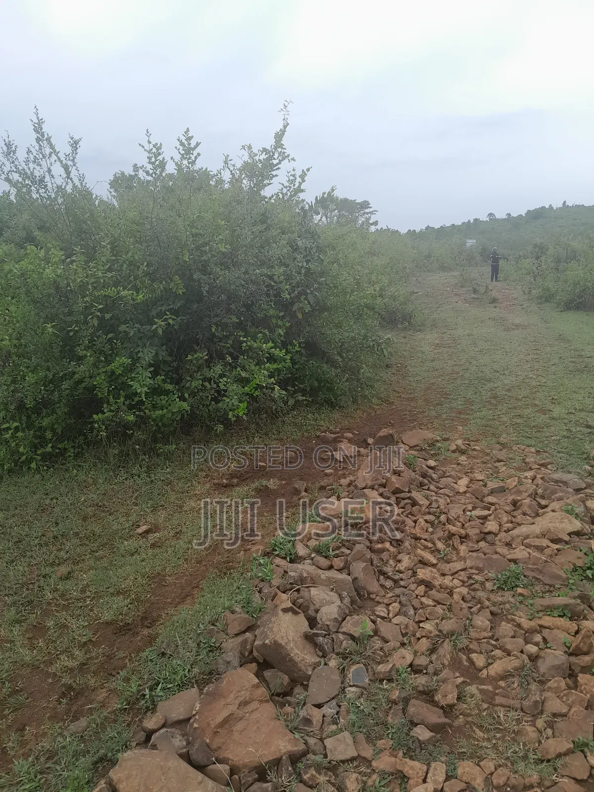 1 Acre of Land in Rambusi Area of Homa Bay in Homa Bay West
