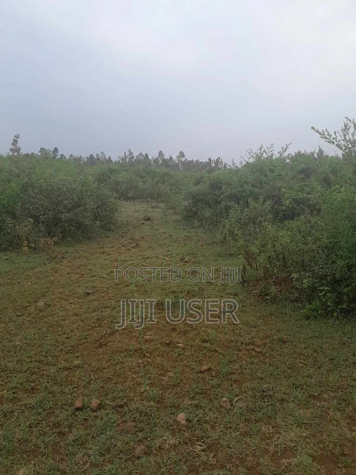 1 Acre of Land in Rambusi Area of Homa Bay in Homa Bay West