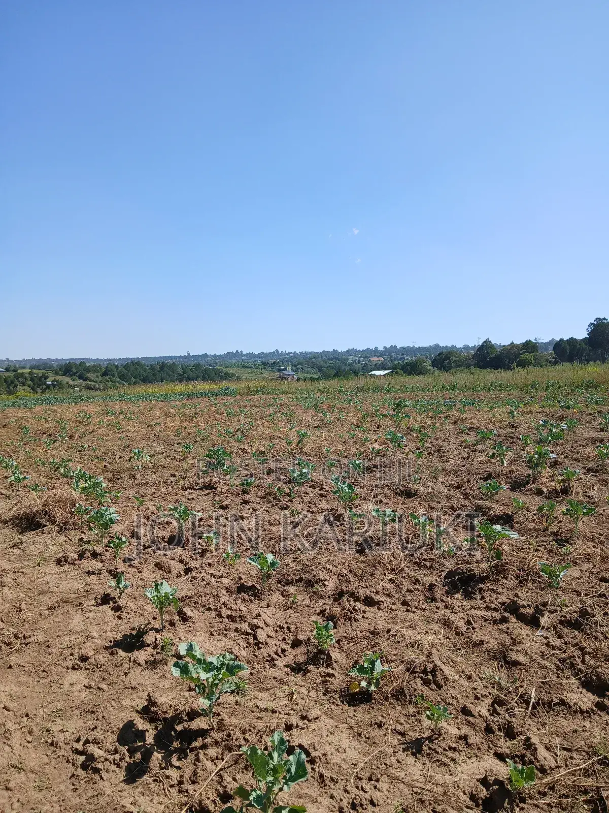 50x100 Plots in Naivasha Nyamathi Gd Area With View of Lake in Karai