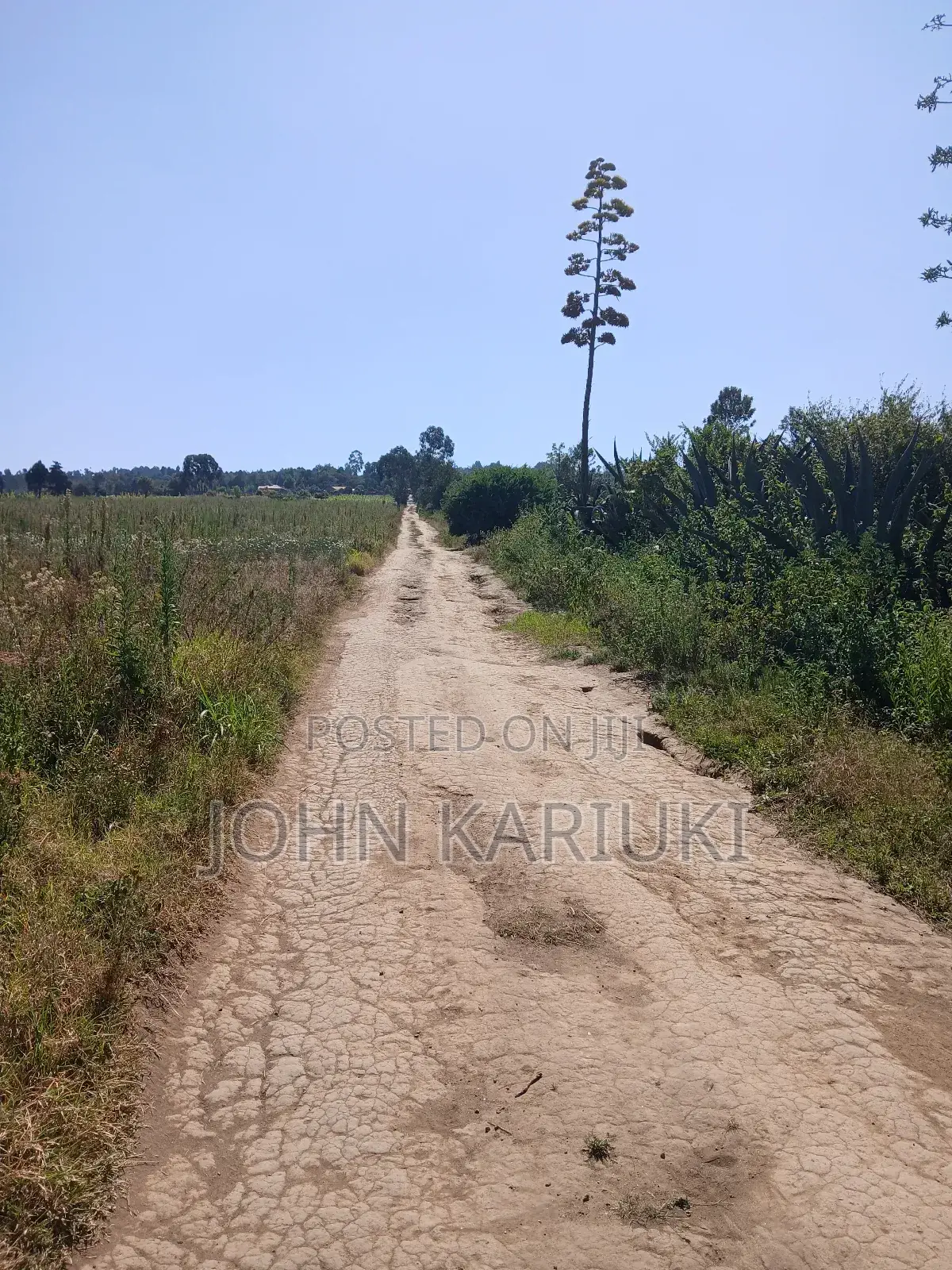 50x100 Plots in Naivasha Nyamathi Gd Area With View of Lake in Karai