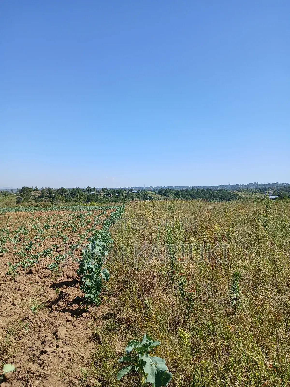 50x100 Plots in Naivasha Nyamathi Gd Area With View of Lake in Karai