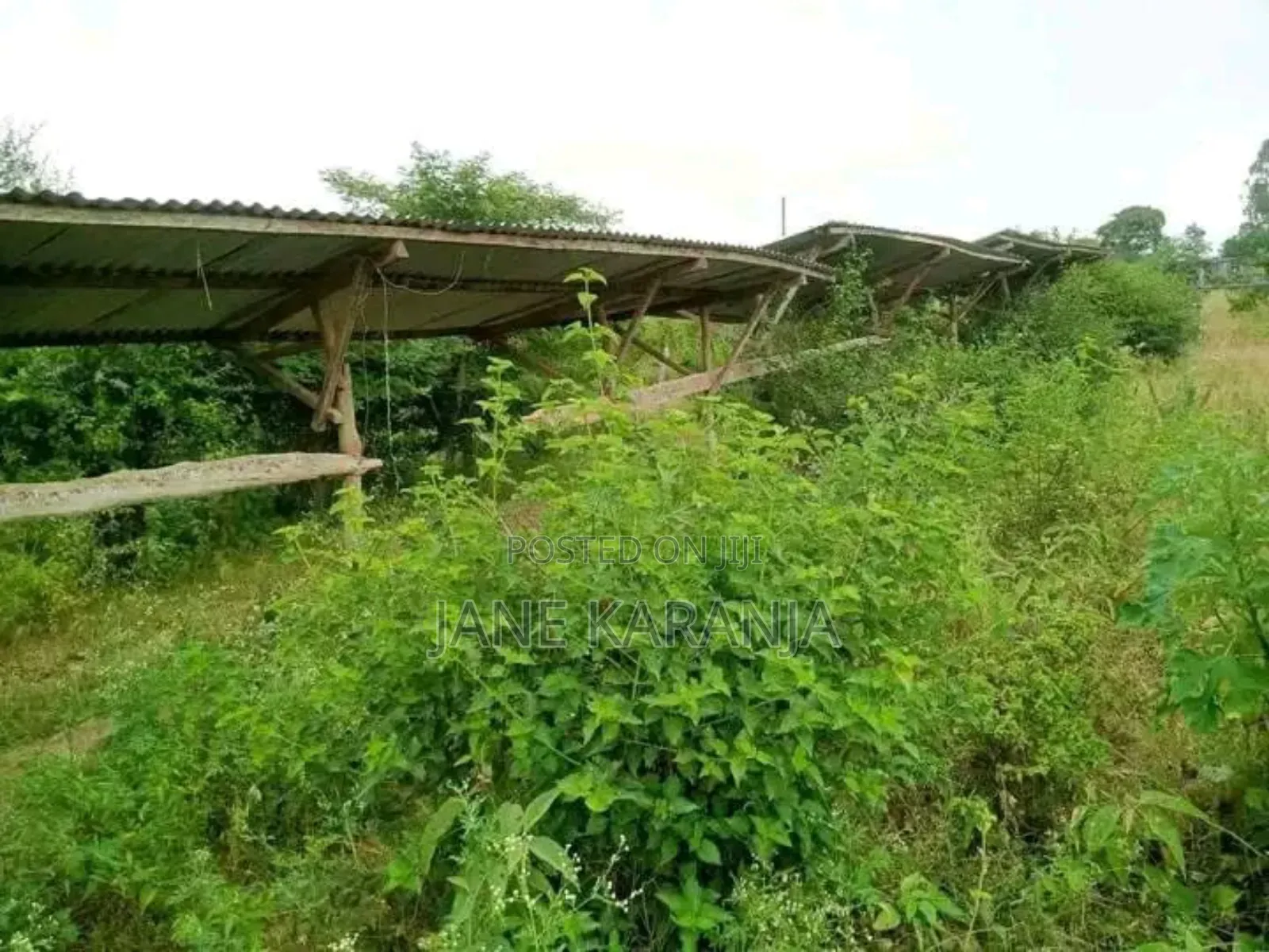 12 Acres Thika Ngoliba 2.6 Per Acre in Ngoliba