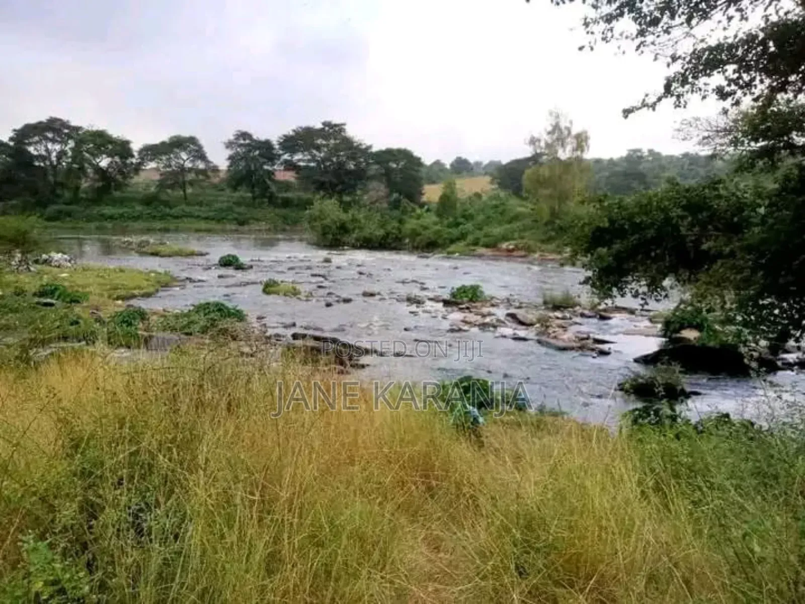 12 Acres Thika Ngoliba 2.6 Per Acre in Ngoliba