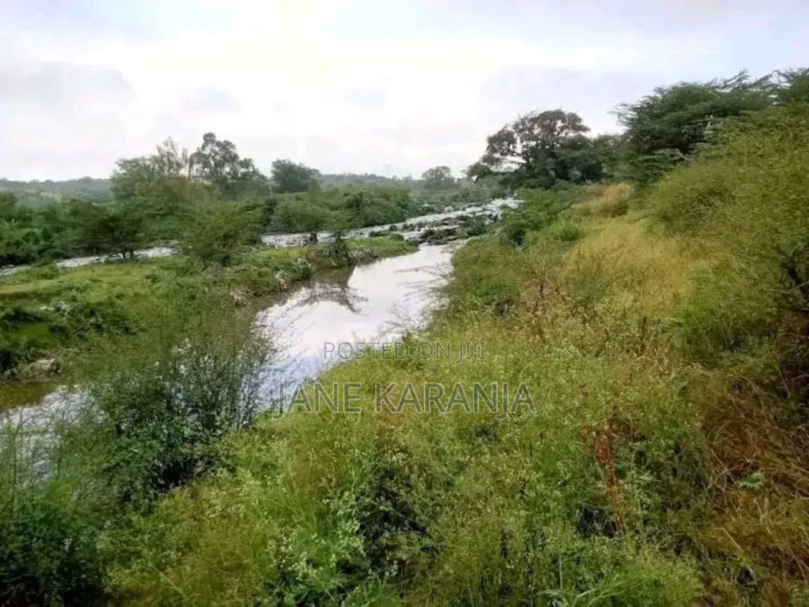 12 Acres Thika Ngoliba 2.6 Per Acre in Ngoliba