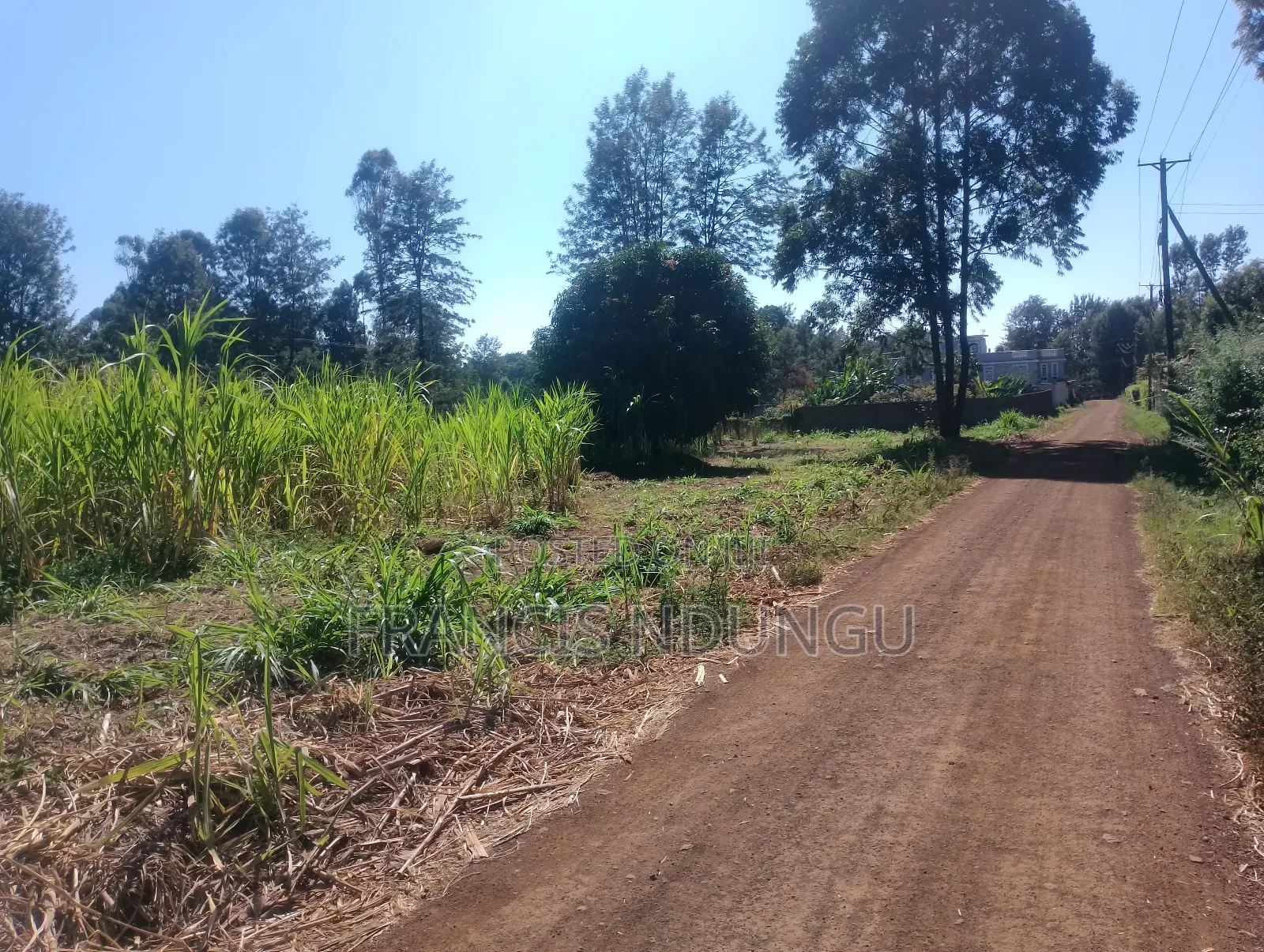 Residential Plots for Sale Kanunga Kiambu. in Ndumberi