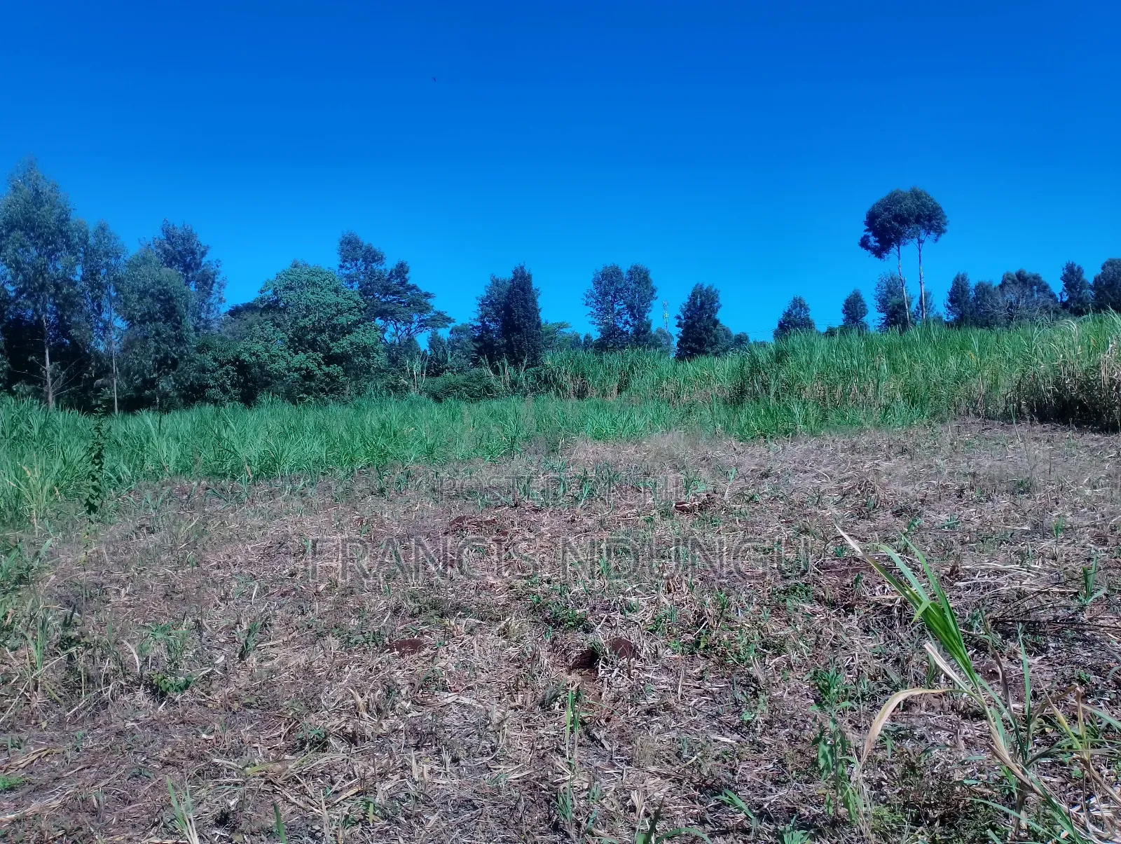 Residential Plots for Sale Kanunga Kiambu. in Ndumberi