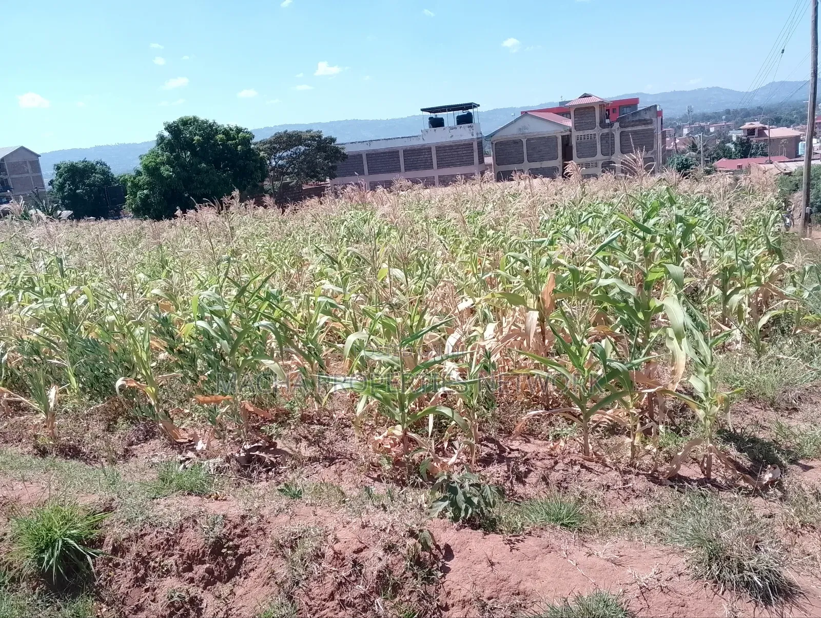 Eastleigh-Machakos 50 by 100ft Plot in Machakos Town